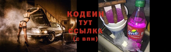 ECSTASY Алзамай