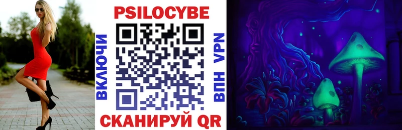 закладки Дрезна Псилоцибиновые грибы Psilocybe